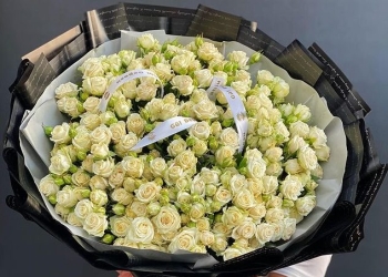 Kustavoy ag roza 51 ed Aksiya!!!