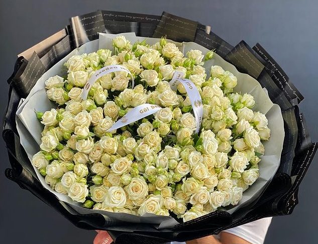 WhatsApp Image 2023-11-01 at 13.52.15