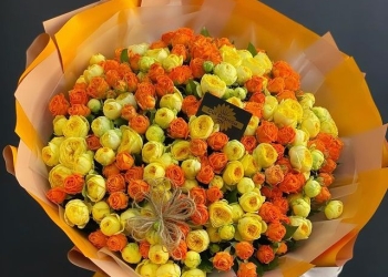 Kustavoy roza  Aksiya!!!