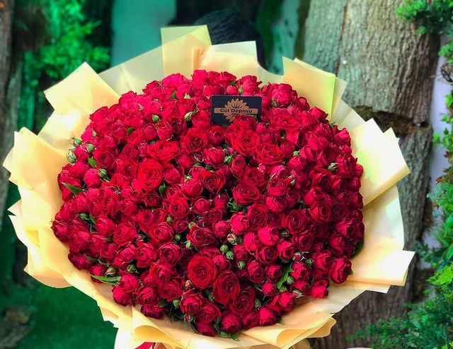 WhatsApp Image 2023-11-01 at 13.53.33