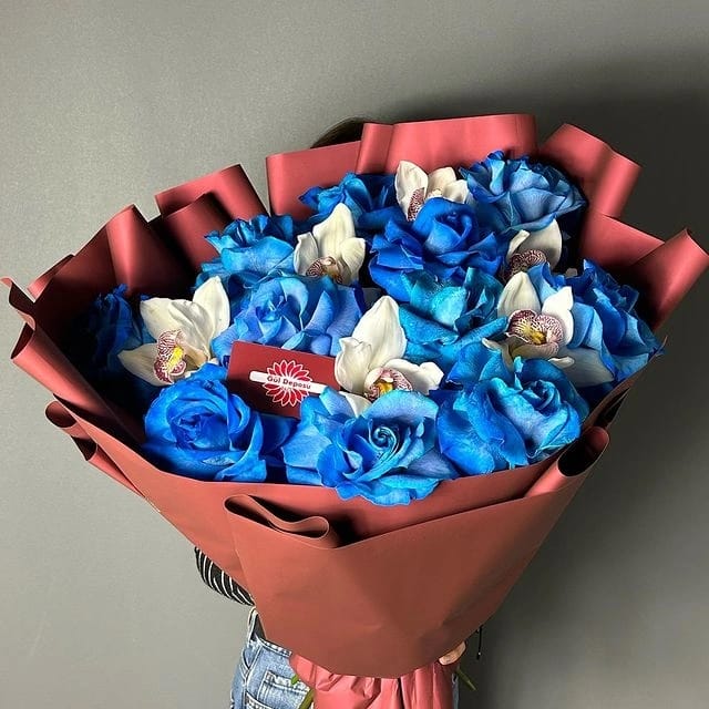 WhatsApp Image 2023-11-01 at 13.56.03