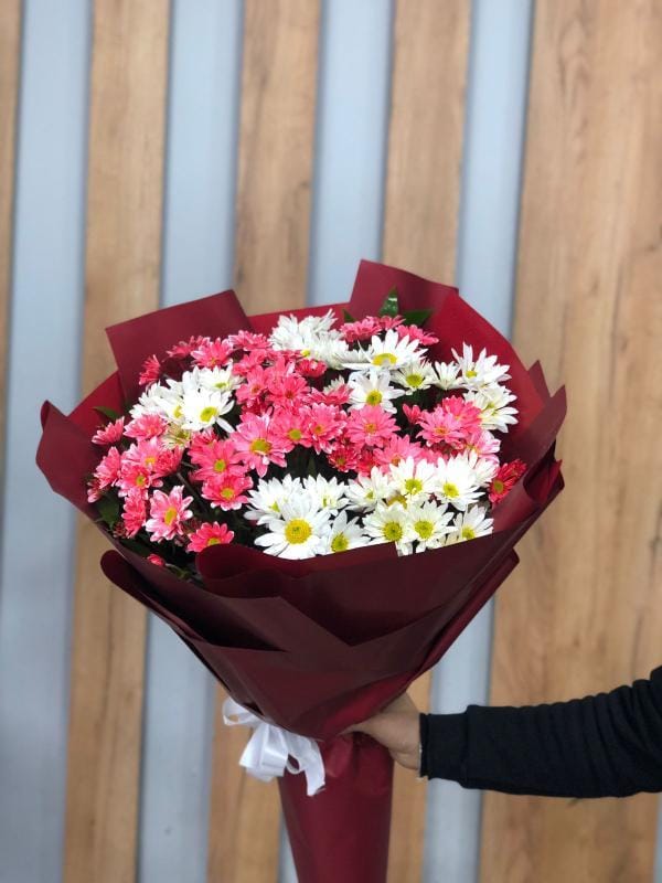 WhatsApp Image 2024-12-22 at 14.49.24