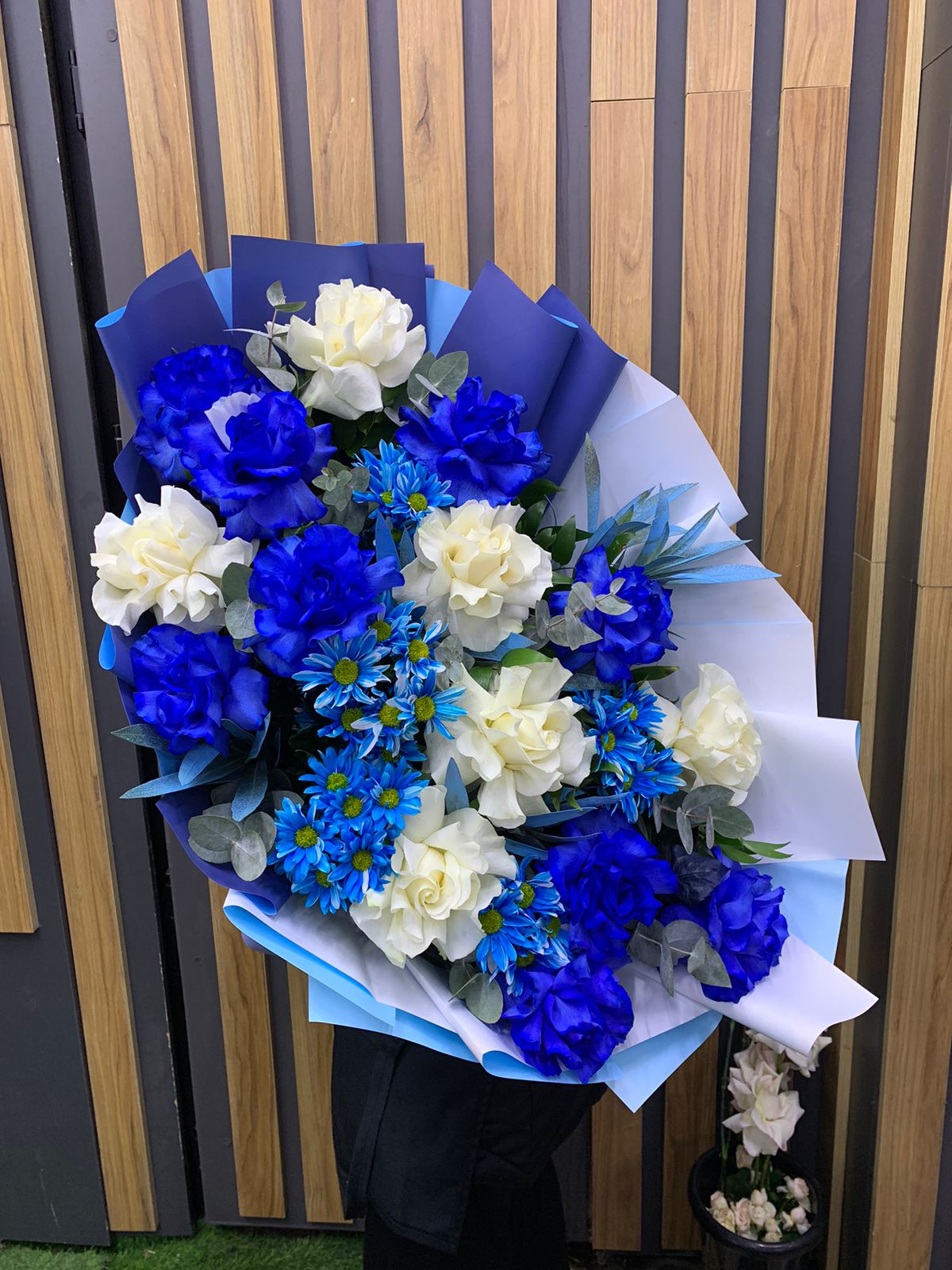 WhatsApp Image 2024-12-23 at 18.33.59 (1)