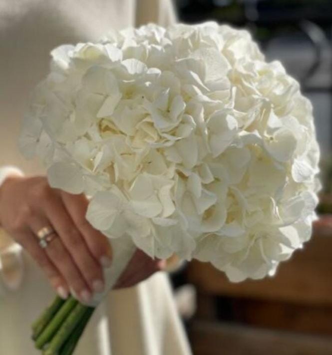 WhatsApp Image 2024-12-23 at 18.34.02