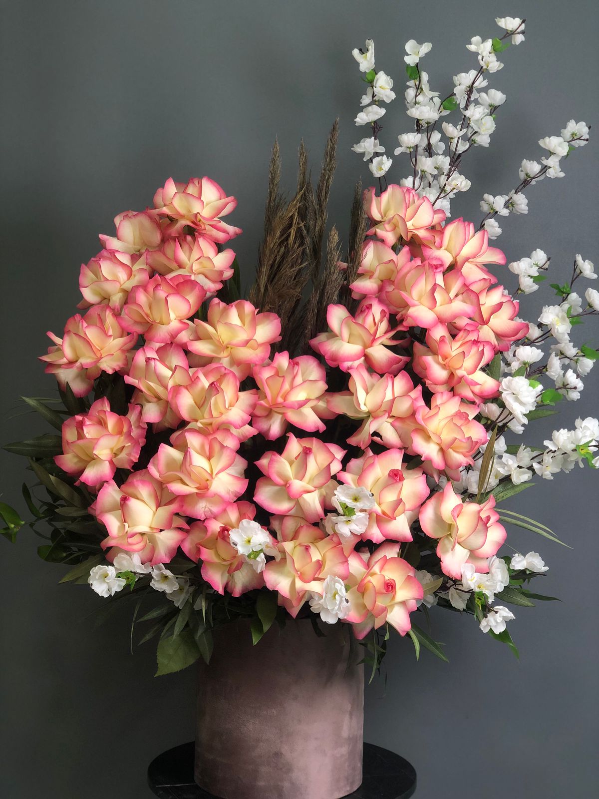 WhatsApp Image 2024-12-23 at 18.56.33