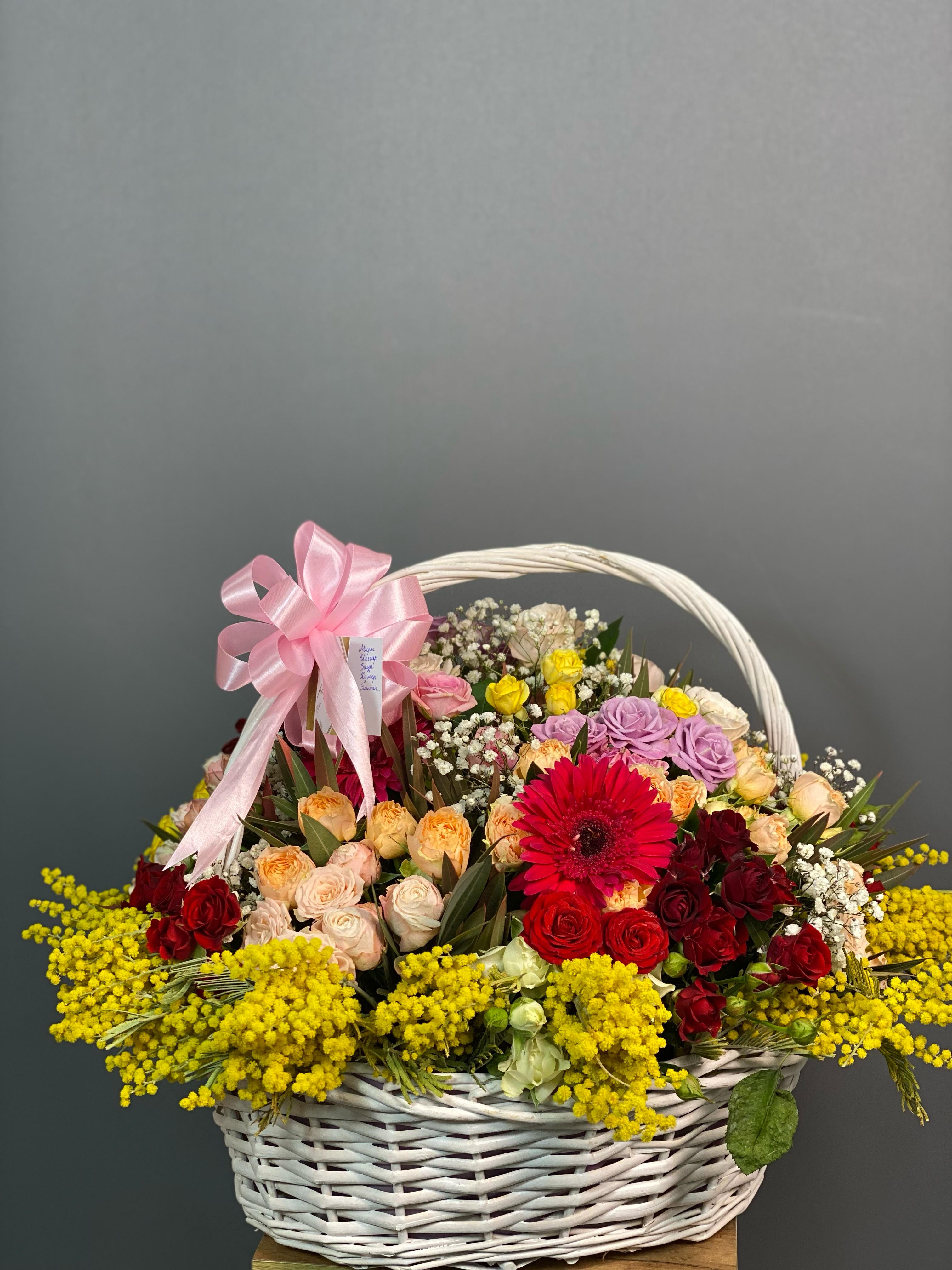 WhatsApp Image 2025-03-18 at 14.43.16